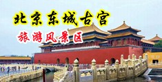 肏屄屄小黄片中国北京-东城古宫旅游风景区